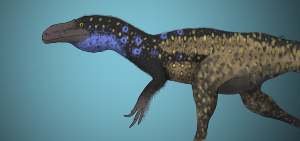 The Feathered Tyrannosaur Ancestor