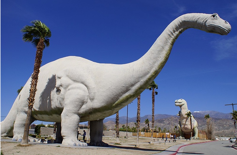 Dinosaurs Have Belly Buttons