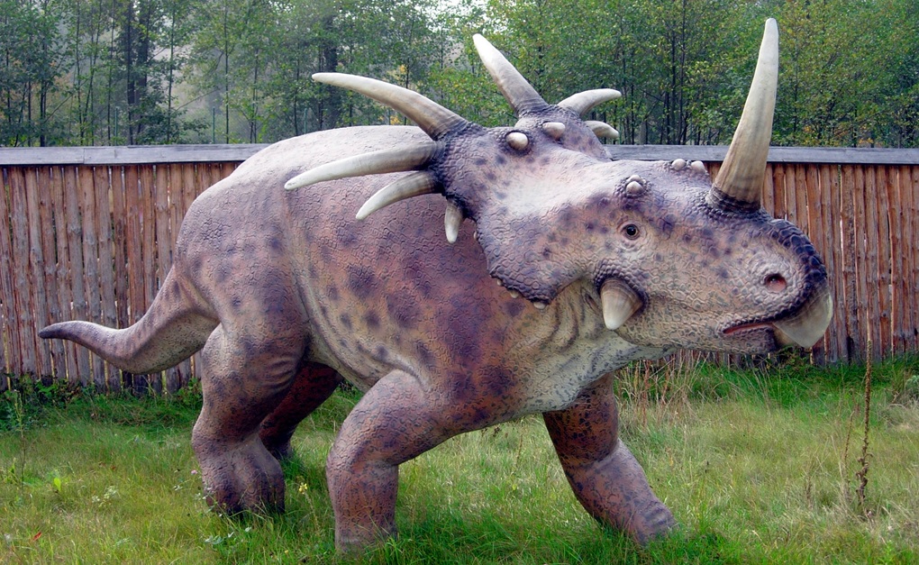 Discovery of Styracosaurus