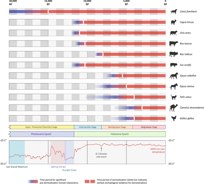 Timeline of animal domestication from 20,000 BP to present, showing interactions and domestication periods for 11 species, with temperature data overlay.