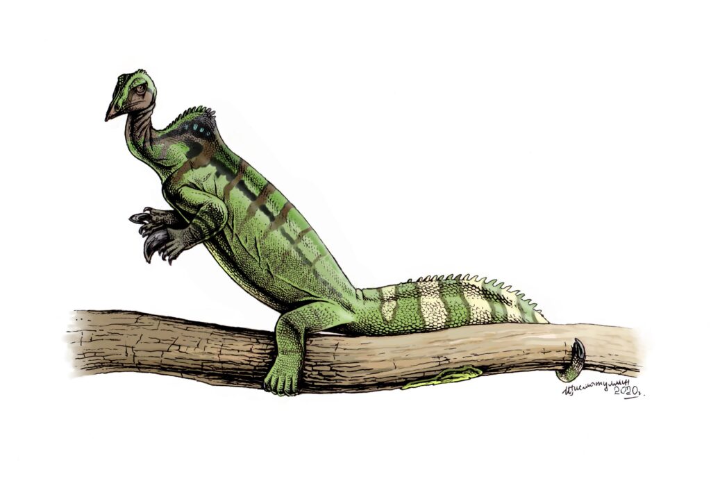 A green, reptilian creature with striped patterns sits on a tree branch. It has a pair of small horns and an alert posture, suggesting vigilance.