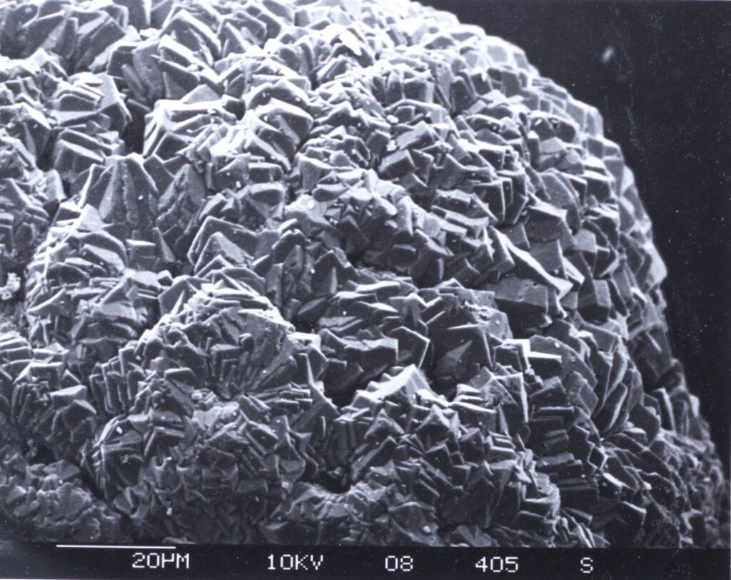 Close-up of a rough, jagged microscopic surface with intricate, crystalline patterns. The texture suggests a scientific or geological context.