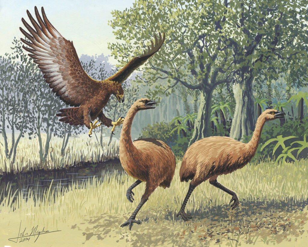A giant eagle swoops toward two large birds