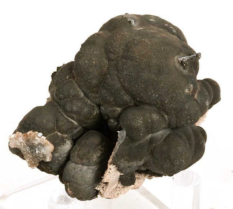 Black mineral specimen with a smooth, rounded surface, resembling clustered bubbles. It's displayed on a clear stand against a plain background.