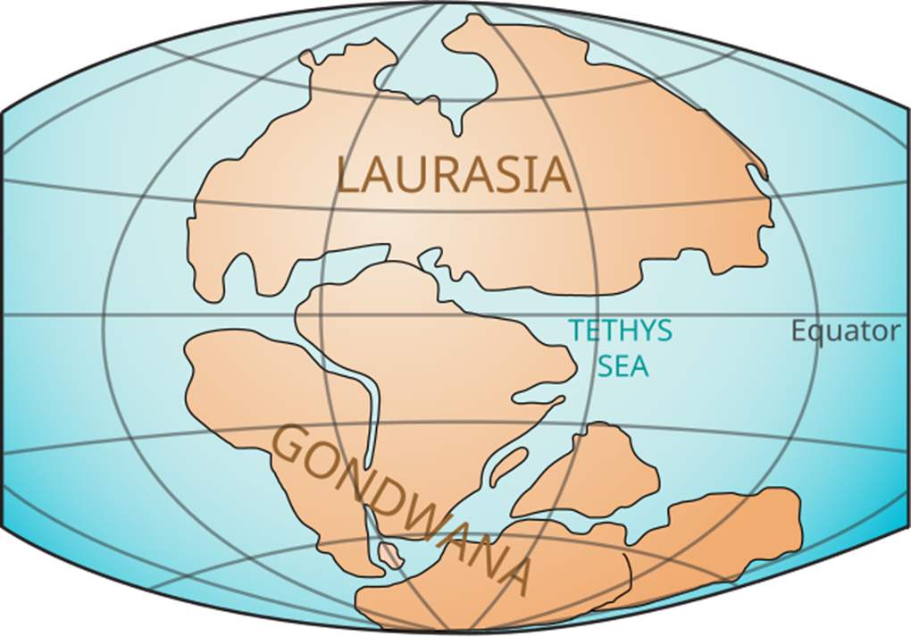 Gondwana's Dinosaur Distinctiveness