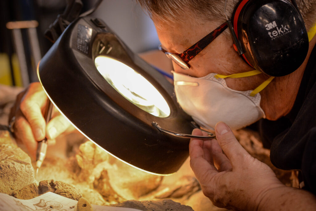 Person wearing ear protection and a mask examines a fossil under a magnifying lamp, using a precise tool, evoking focus and concentration.