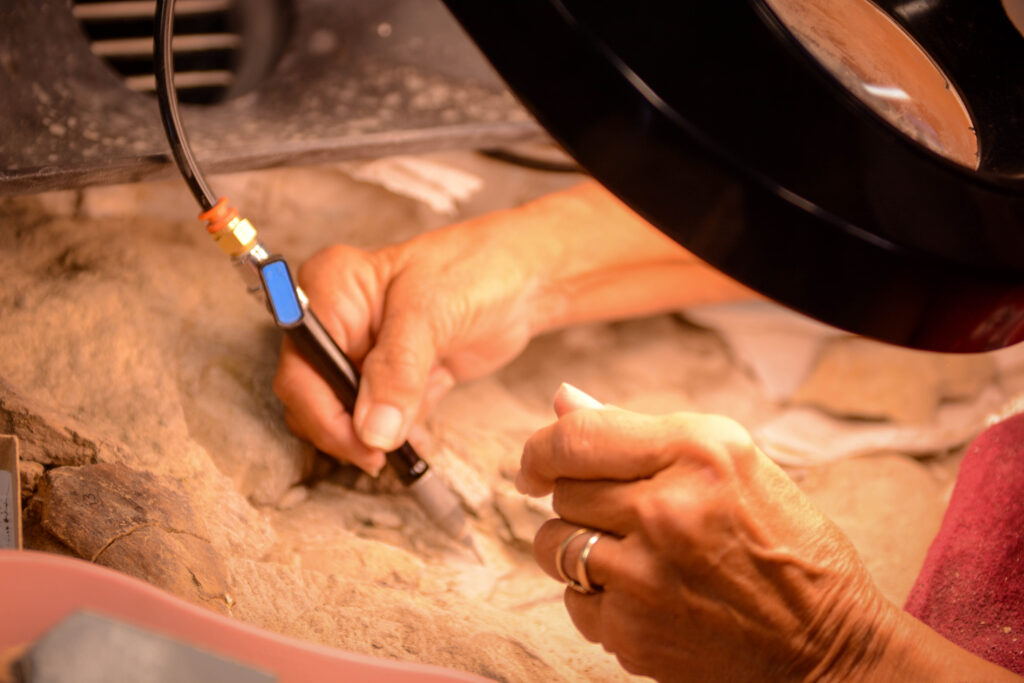 Hands of a paleontologist carefully cleaning a fossil with a precision tool under a magnifying lamp. The scene conveys focus and meticulous care.