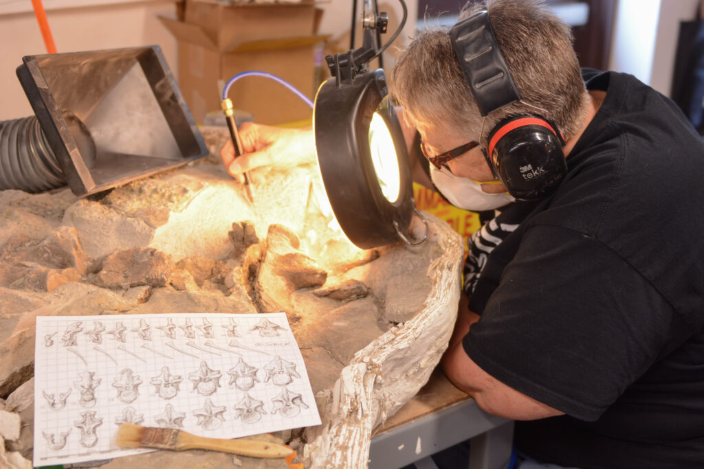A person meticulously works on a fossil, wearing ear protection and a mask, using a tool under a bright lamp. Nearby, illustrated vertebrae sketches lie on a table.