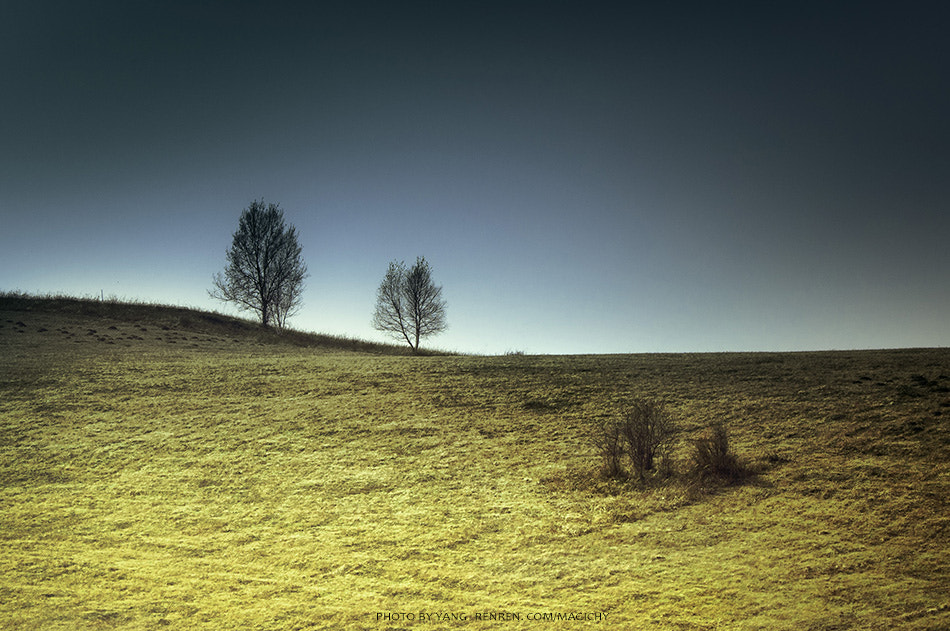 Grassland
