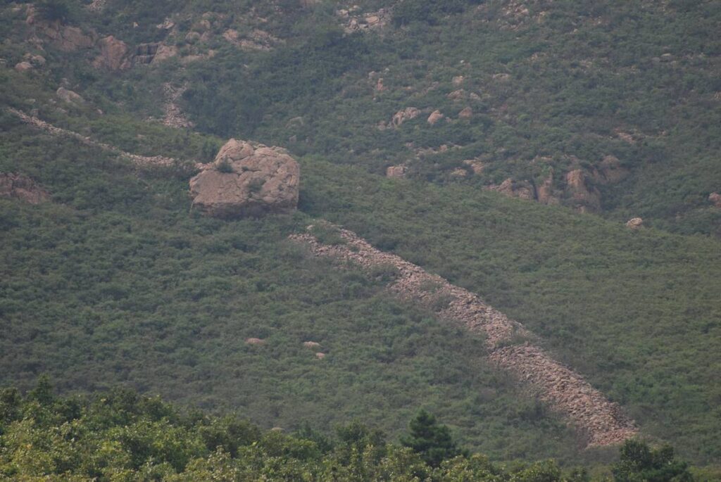 A large rock resembling a turtle sits on a lush, green hillside, surrounded by scattered rocks and dense vegetation, creating a serene landscape.