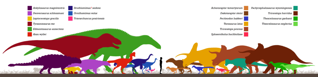 Silhouettes of various dinosaur species are displayed in bright colors against a white background, with matching color-coded labels identifying each species.