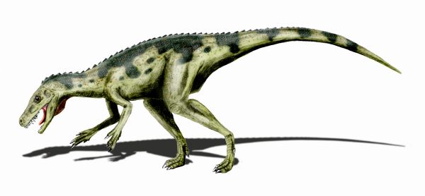 Illustration of a dinosaur with green, scaly skin and dark spots, walking on all fours. It has a long tail and an open mouth, appearing predatory.