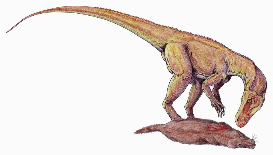A dinosaur with a long tail and textured skin stands over a large rodent, possibly prey, on a plain white background. The scene conveys tension and dominance.