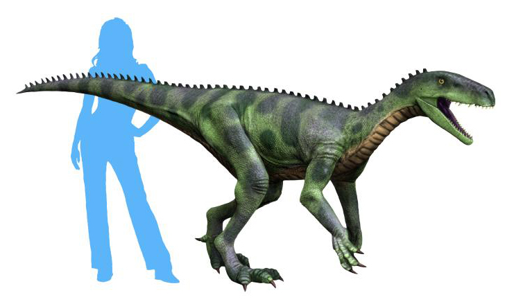 Illustration of a green and black striped dinosaur, similar to a Velociraptor, beside a blue silhouette of a person for scale comparison.