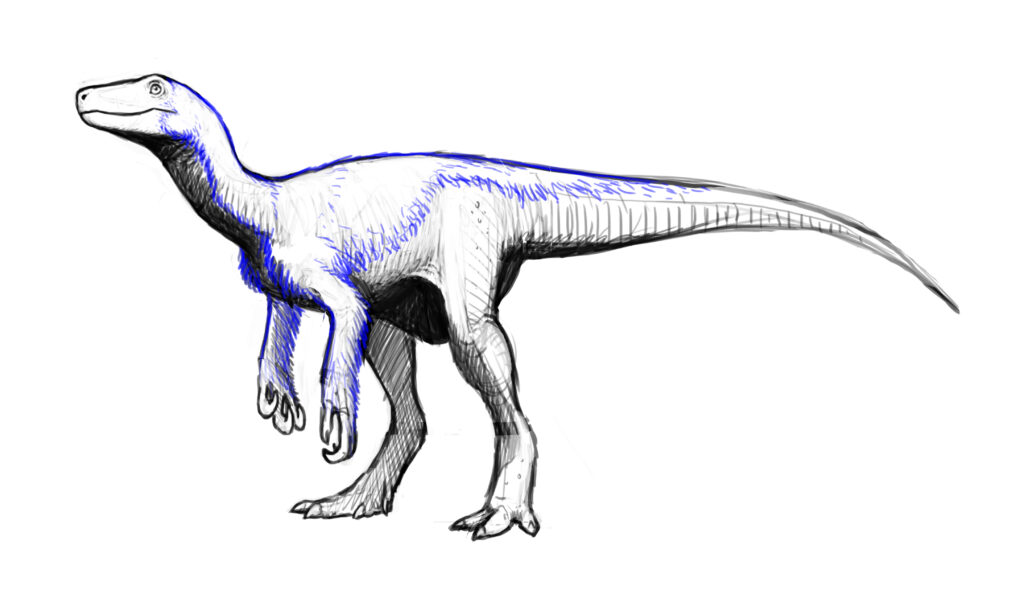 Drawing of a dinosaur in profile view. It has a long tail and stands on two legs. The sketch uses black and blue lines, conveying a dynamic and detailed feel.
