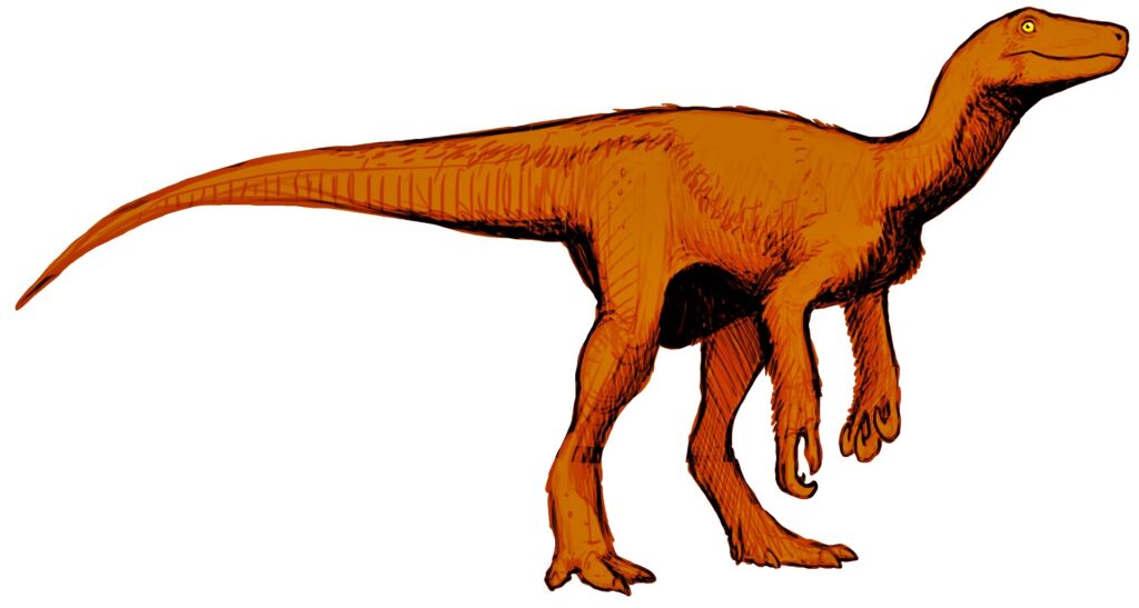 Illustration of an orange Velociraptor with a long tail and clawed hands. The creature appears alert, with a smooth texture and detailed limbs.