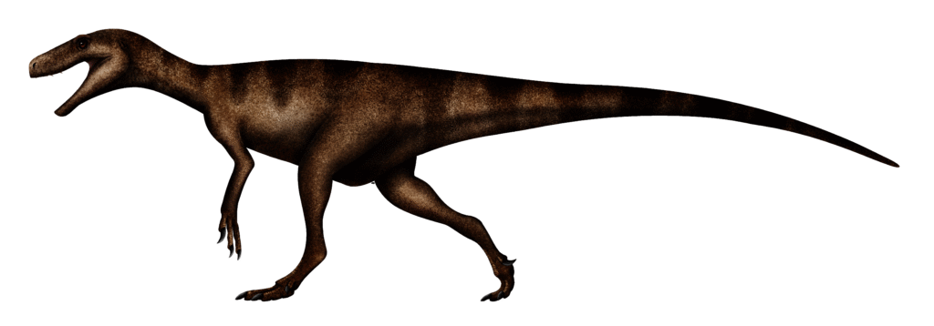 Illustration of a dinosaur with a long tail and brown, speckled skin. It stands on two legs, resembling a theropod. The tone is natural and informative.