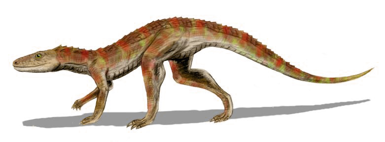 Illustration of an early dinosaur, Hesperosuchus, with green and red scales, walking on four legs. Its elongated body casts a shadow on a white background.