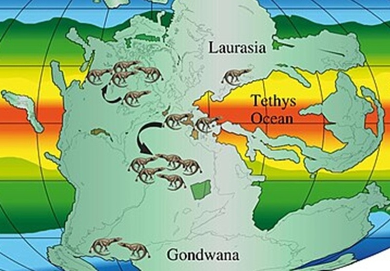Supercontinents and Dinosaurs