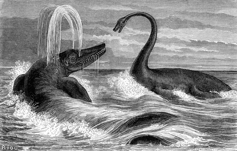 Engraving of plesiosaur and ichthyosaur in turbulent water, one spraying water and another with a long neck, set against a cloudy sky. Retro and dramatic.