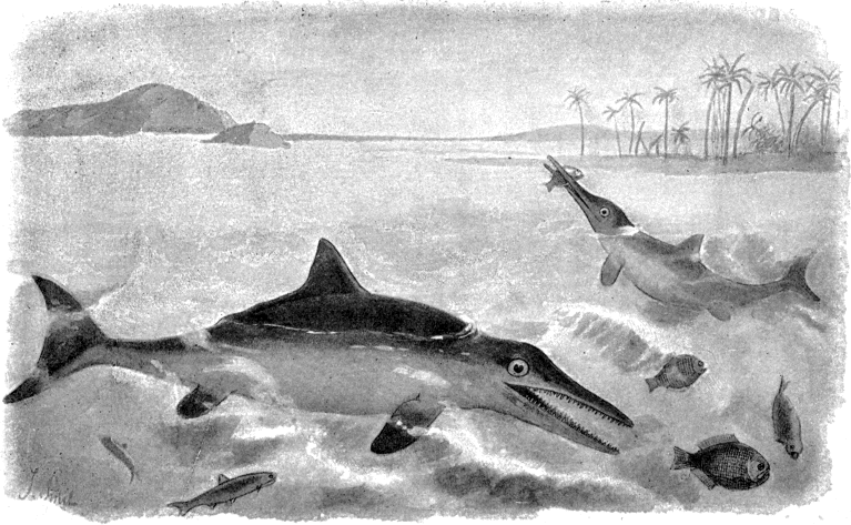 Depiction of Ichthyosaurus species