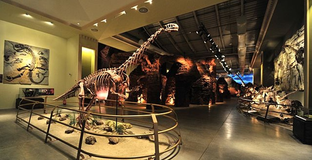 Jurassic Land Museum