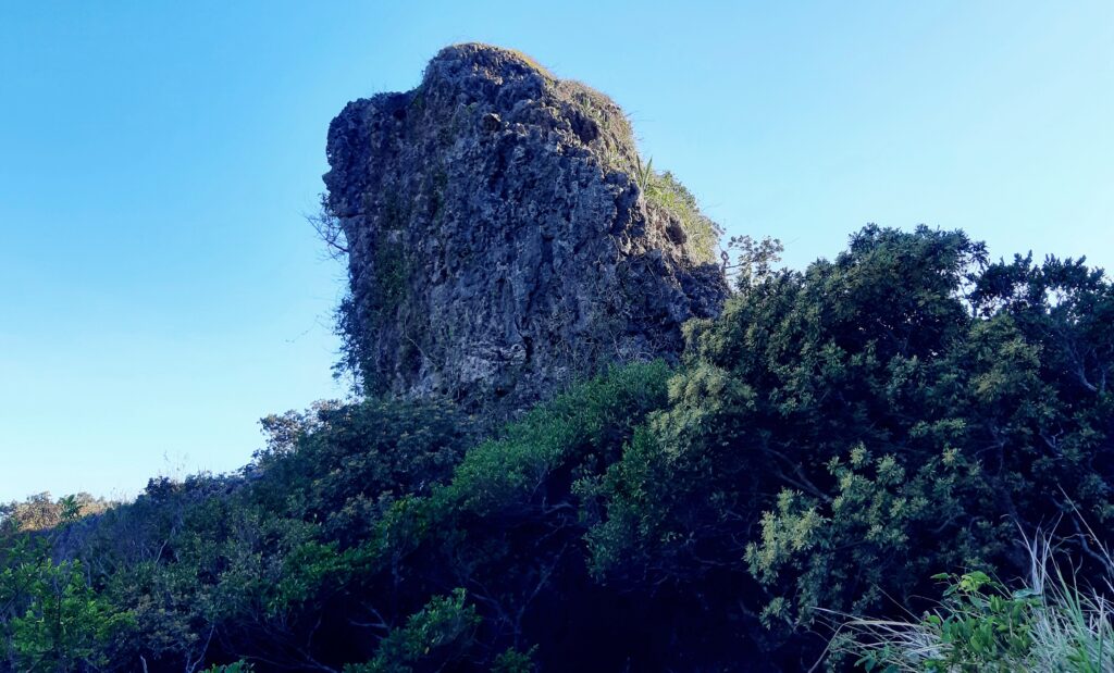 Tall rock formation surrounded by dense green foliage under a clear blue sky, evoking a sense of serenity and natural beauty.