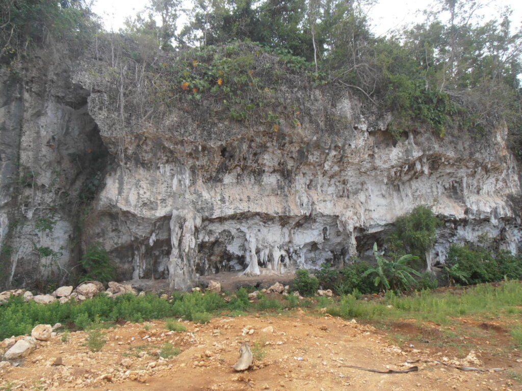 Rocky cliff face with jagged textures and overhanging greenery. The foreground has scattered rocks and sparse vegetation on sandy ground. Quiet, rugged scene.
