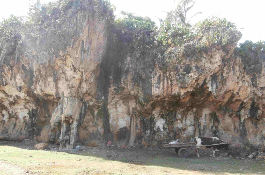 Rocky cliff with overhanging vegetation and a cow pulling a wooden cart in the foreground. The scene conveys a rustic and tranquil atmosphere.
