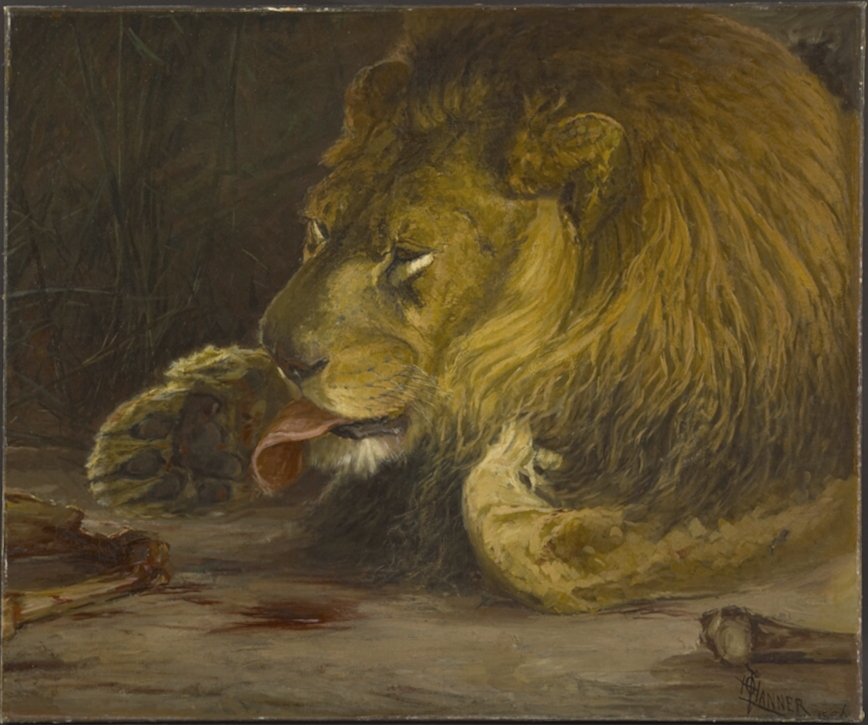 Painting of a lion resting and licking its paw next to a bone, set against a dark background. The scene conveys a sense of calm and naturalism.