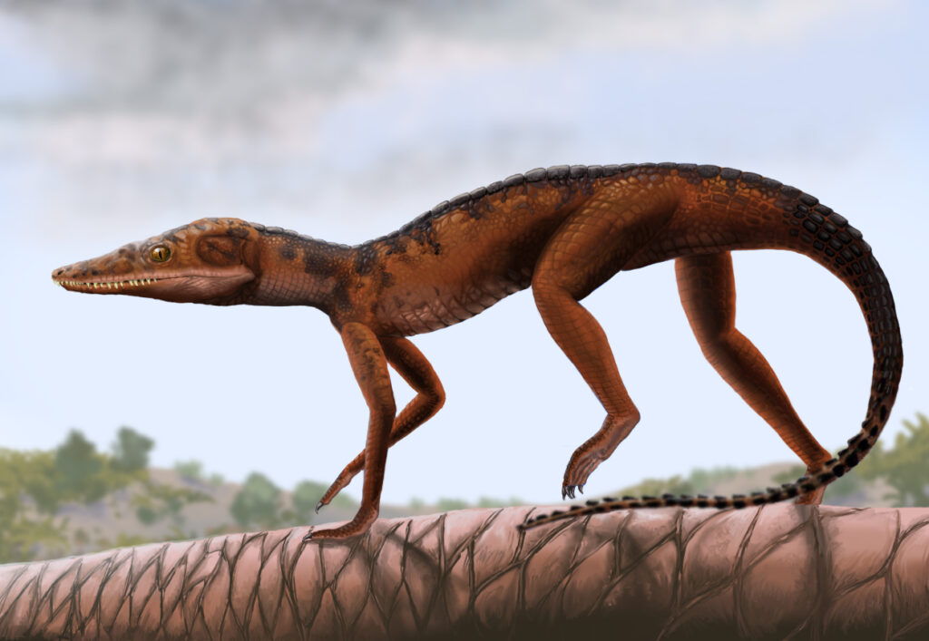 Illustration of a small, brown, prehistoric reptile with scales, sharp teeth, and large eyes, walking on a textured surface under a cloudy sky.