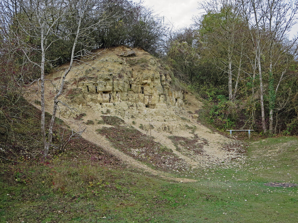 Rocky hillside with exposed sediment layers and sparse vegetation, surrounded by bare trees and grass, creating a serene, natural landscape.