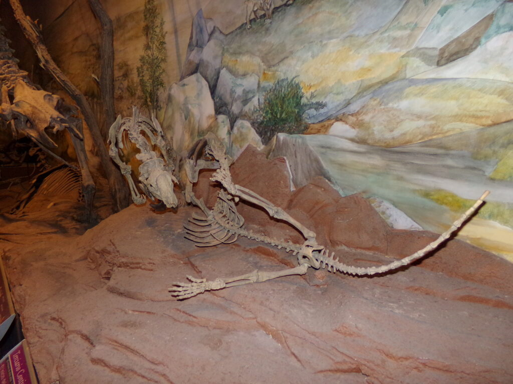 Skeletal remains of a creature displayed on reddish rocks within a museum setting. A painted mural in the background adds natural scenery.
