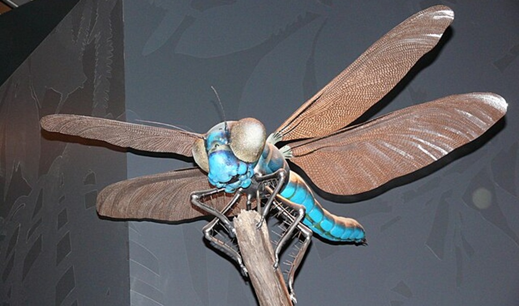 The Forgotten Giants