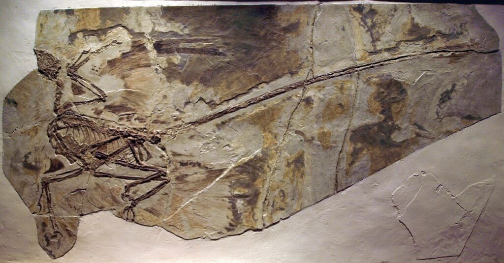 Fossil of a small dinosaur embedded in rock, showing a detailed skeleton with a long tail and clawed limbs. The earthy tones convey an ancient, historic feel.