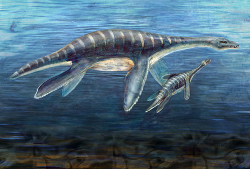 Mother and Juvenile Plesiosaur