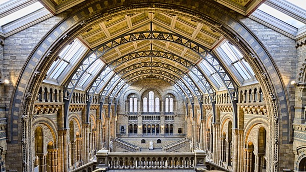 Natural History Museum