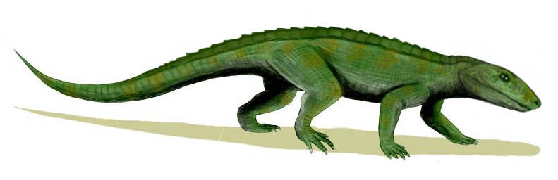 Illustration of a green, lizard-like prehistoric reptile with a long tail, textured skin, and four legs. It appears to be walking on a muted background.