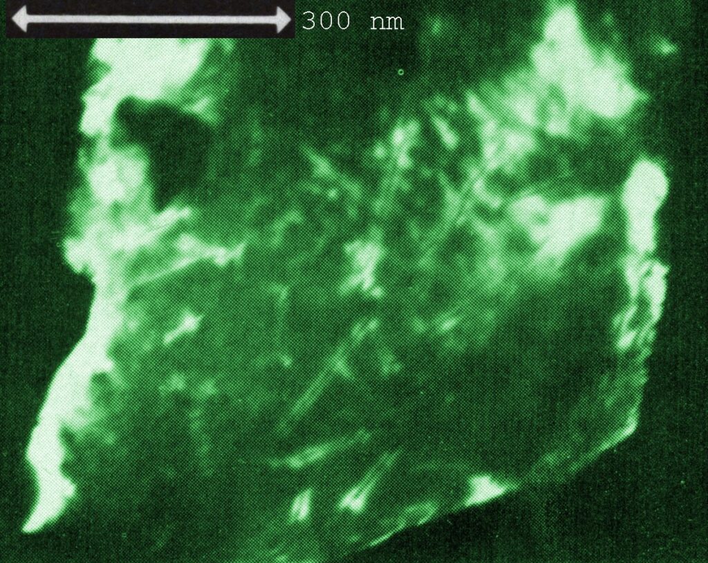 Microscopic image showing a green-tinted close-up of a texture with various light and dark areas. Scale indicates 300 nm; scientific tone.