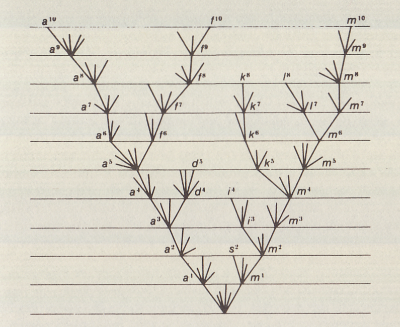 Origin of Species illustration cropped
