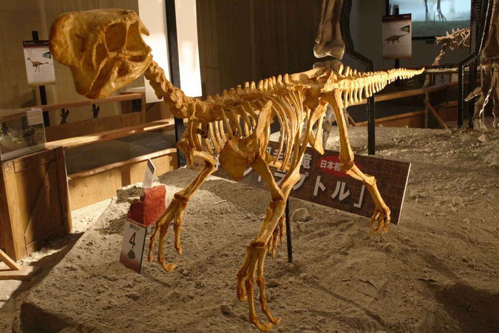 Dinosaur skeleton displayed in a museum exhibit, shown on a sandy base. Lighting highlights detailed bones, evoking a sense of curiosity and discovery.