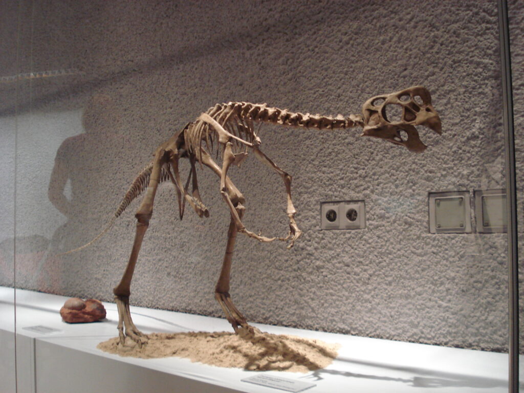 Dinosaur skeleton displayed in a glass case against a textured wall. The bones are arranged on a sandy surface, conveying an ancient, historical tone.