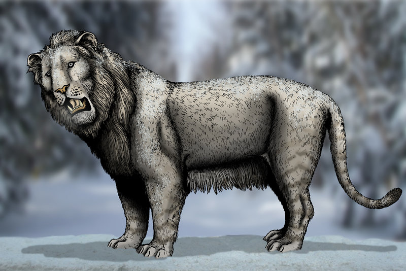 Illustration of a prehistoric cave lion with thick, shaggy fur, bared teeth, and an intense gaze, standing in a snowy, blurred forest background.