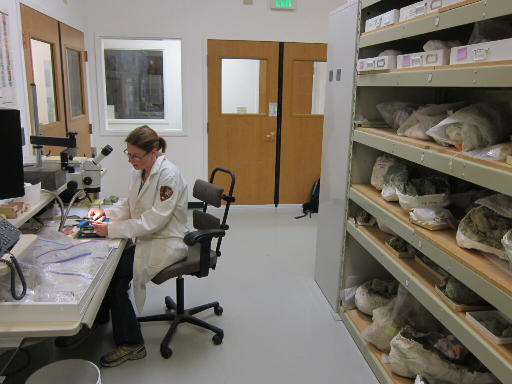 A scientist in a white lab coat examines items under a microscope in a lab. Shelves with labeled bags of specimens are on the right. The atmosphere is focused.