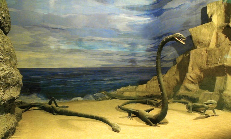 Tanystropheus