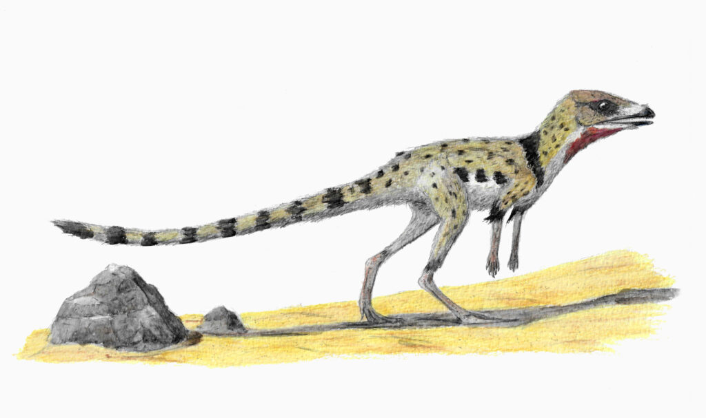 Illustration of a small dinosaur with mottled green and black spots on a sandy ground. It has a long tail and slender legs, exuding a lively curiosity.