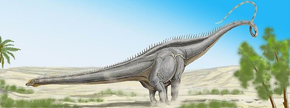 Diplodocus Growth and Development