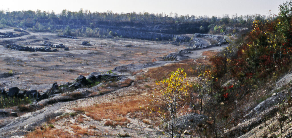 A barren landscape with sparse vegetation and rocky terrain, bordered by a distant tree line. The scene feels desolate and quiet, with muted colors.