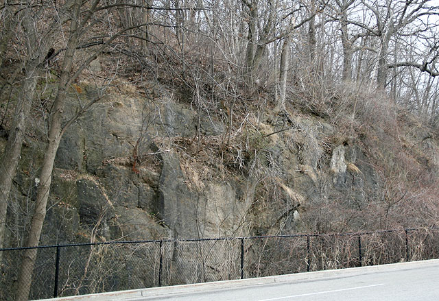 Leafless trees on a rocky hillside behind a chain-link fence, alongside a road. The scene is wintry and barren, conveying a stark, quiet mood.