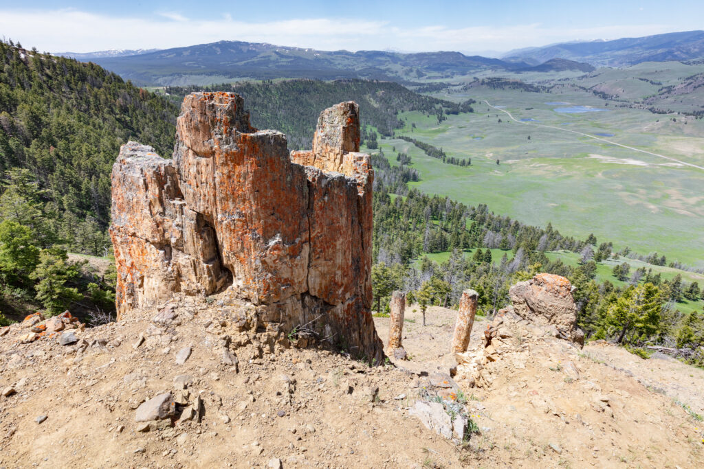 Towering petrified tree stumps on a rocky hilltop overlook expansive green valleys and distant mountain ranges under a bright blue sky.
